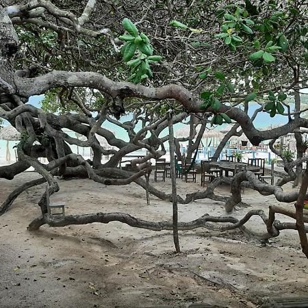 Jangaloa Daire Jijoca de Jericoacoara Dış mekan fotoğraf